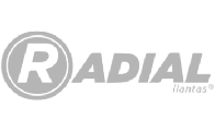 Servicio de consultoría personalizada para Radial Llantas