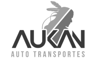 Sistema de gestión empresarial para Transportes Aukan